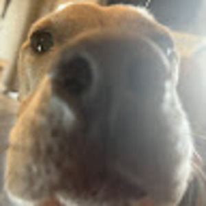 Meet your Posher, Caleb